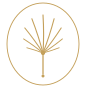 The Green Design Collective