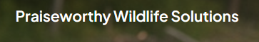 Common Wildlife Problems in Central Arkansas Homes