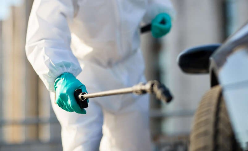 Termite Control Melbourne – Complete Guide to Protection