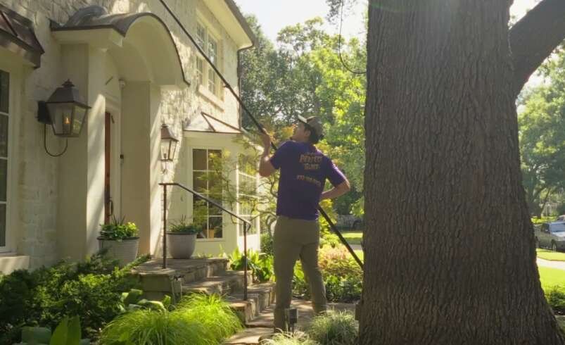 Window Cleaning Service in Dallas TX: Professional Care for Clear and Beautiful Windows
