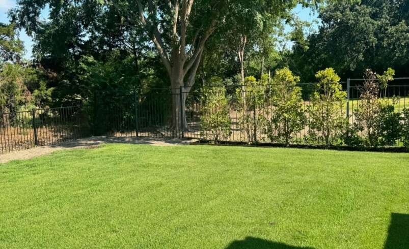 Landscape Design Company in Southlake TX: A Practical Guide to Better Outdoor Spaces