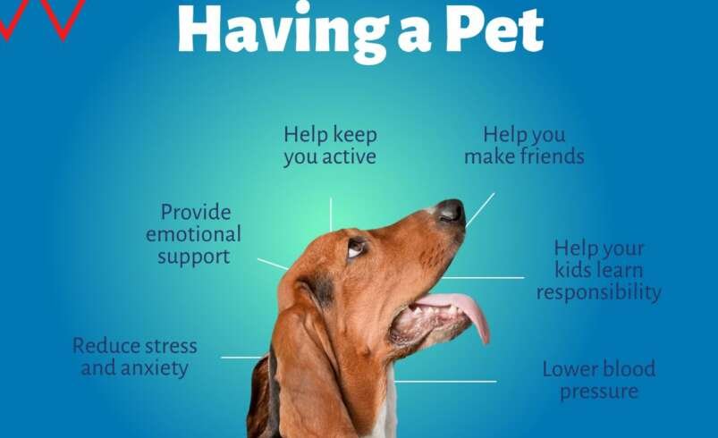 Benefits of Having a Dog for Better Well-Being