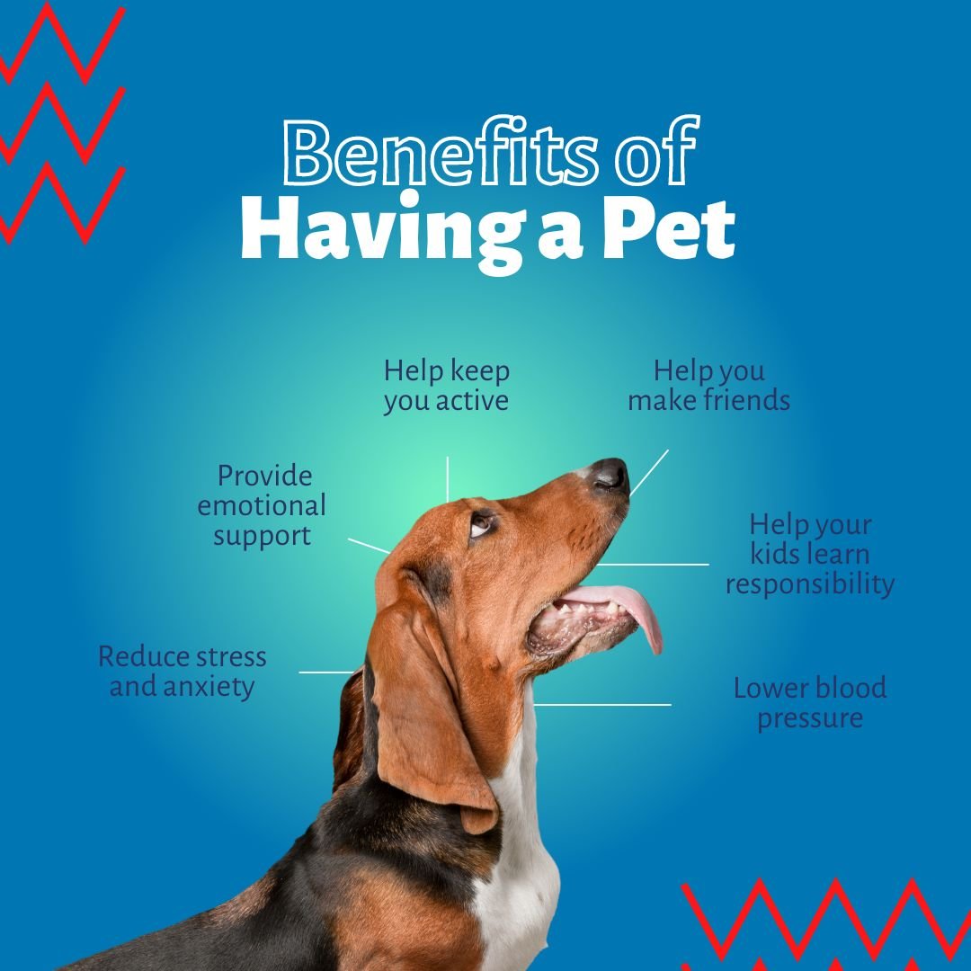 Benefits of Having a Dog for Better Well-Being