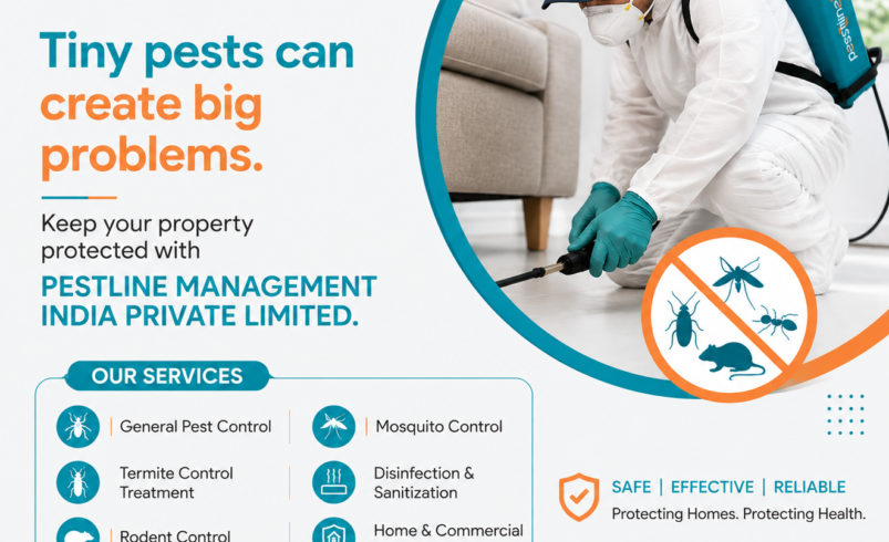 Why Professional Pest Control Matters for Homes and Businesses in Lucknow
