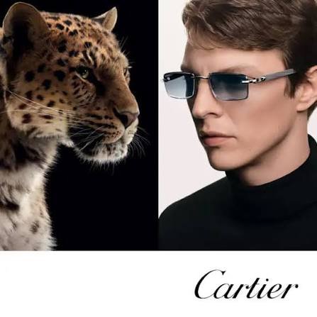 Best Cartier Glasses Styles for a Sophisticated Look