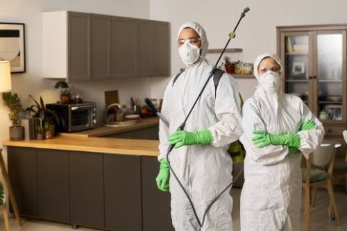 How Oshawa Pest Removal Helps Protect Your Home and Business