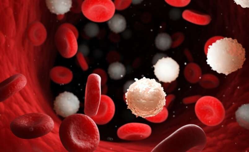 Anemia Dubai: What Symptoms May Suggest Low Hemoglobin Levels?