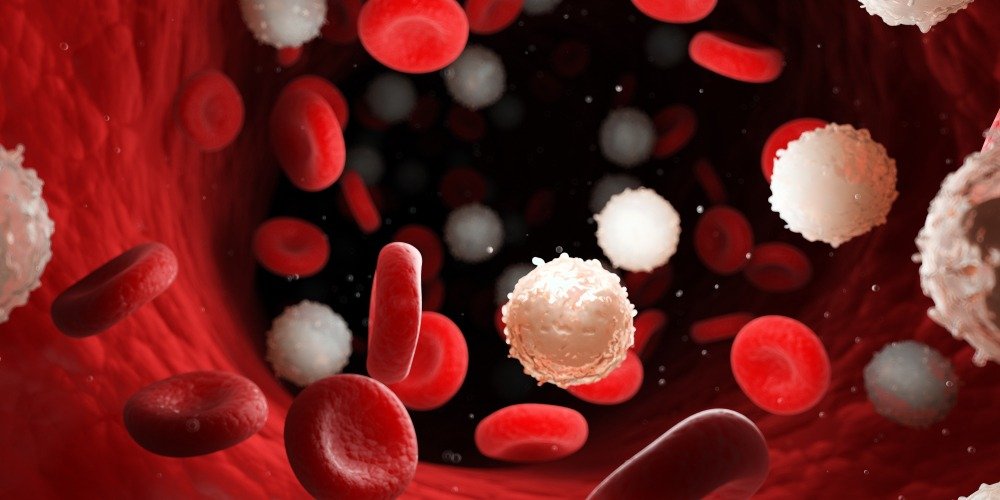 Anemia Dubai: What Symptoms May Suggest Low Hemoglobin Levels?