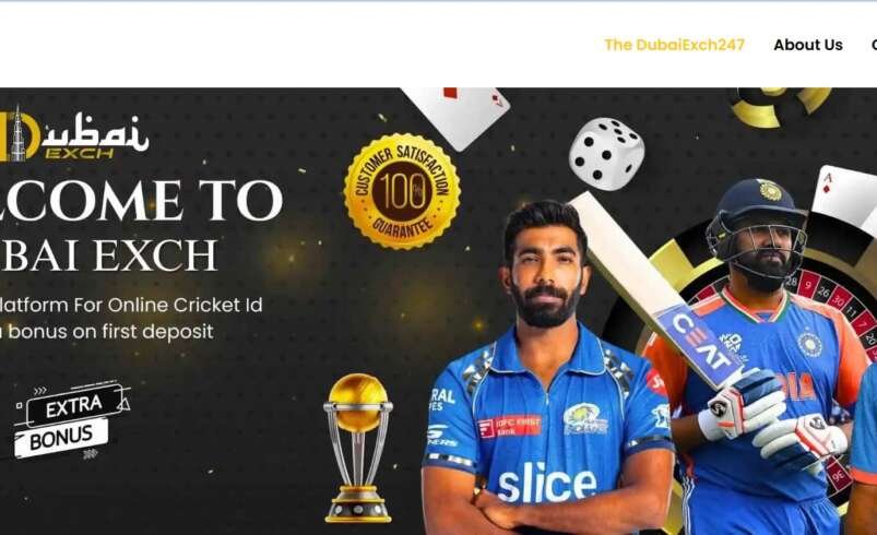 Exploring Online Sports Entertainment: A Practical Guide for Modern Users