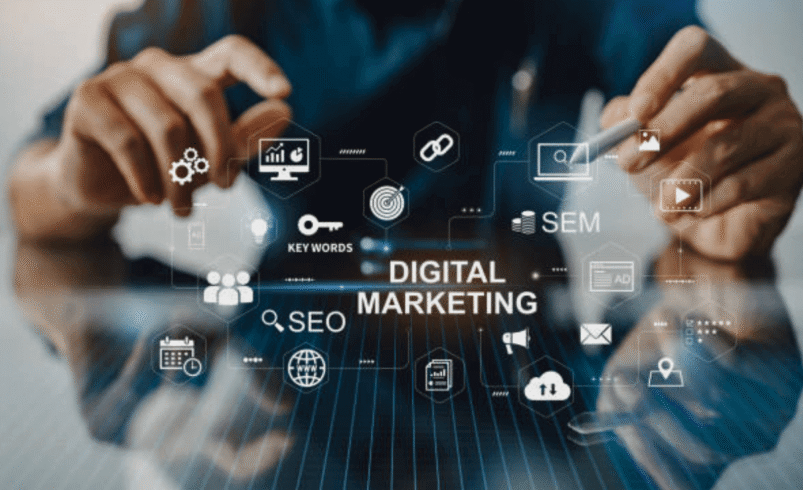 Pest Control SEO Australia: How to Get More Local Customers Online