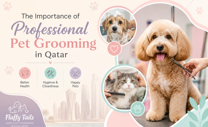 Professional Pet Care at Your Doorstep with Fluffy Tails in Qatar