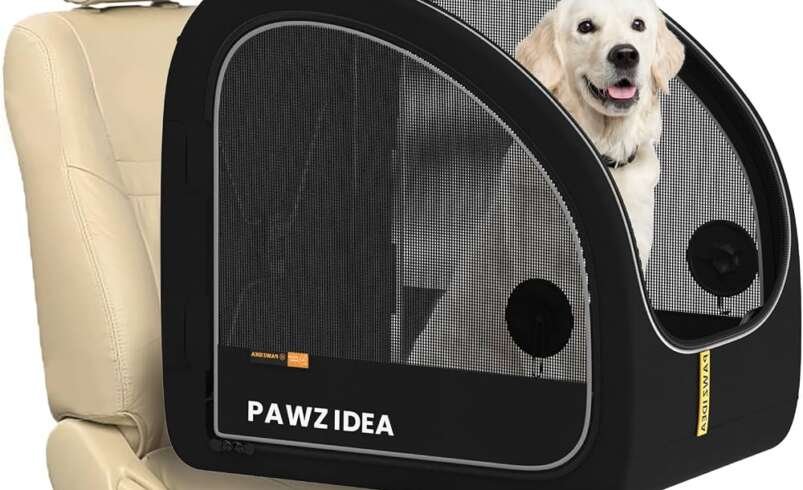 Complete Guide to Traveling and Hiking with a Dog Backpack Carrier