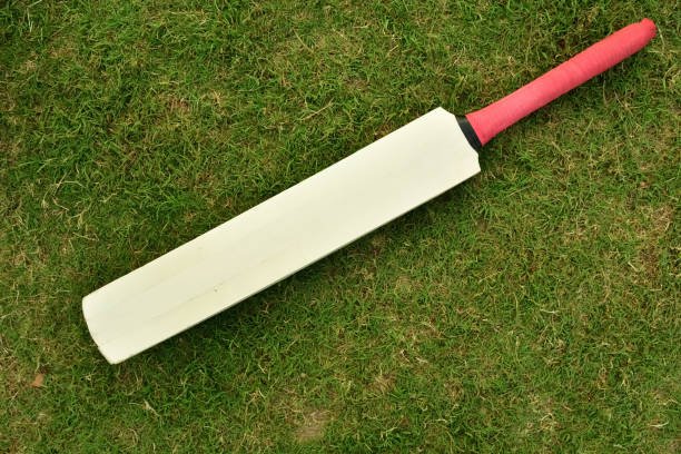 Softball Cricket Bat: A Complete Informational Guide
