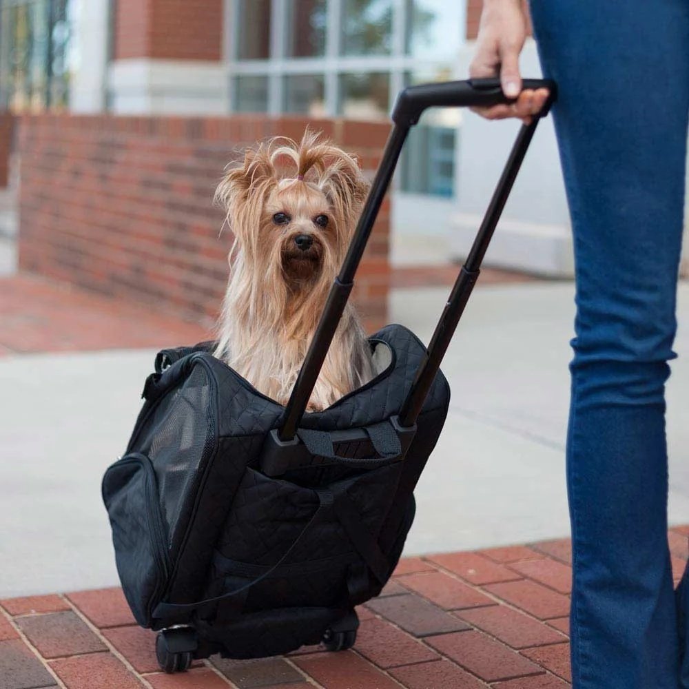 Complete Guide to Selecting the Ultimate Pet Carrier for Safe Travel