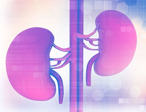 Kidney Stones Treatment in India: When Can They Pass Naturally and When Is Surgery Needed?