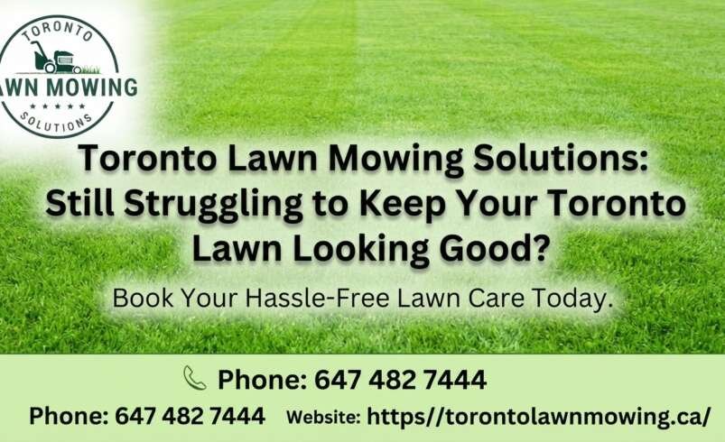 Still Struggling to Keep Your Toronto Lawn Looking Good?
