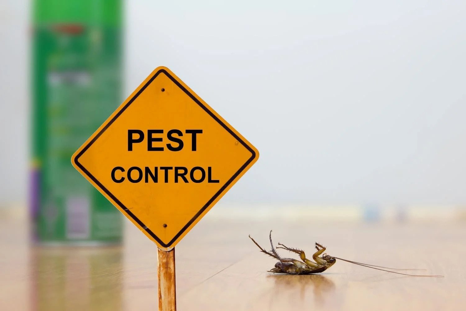 The Complete Guide to Exterminator Weed Control and Lawn Care