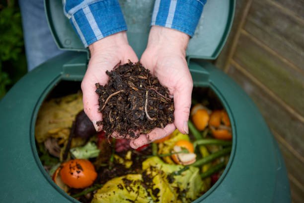 How to Start a Healthy Red Wiggler Worm Farm at Home