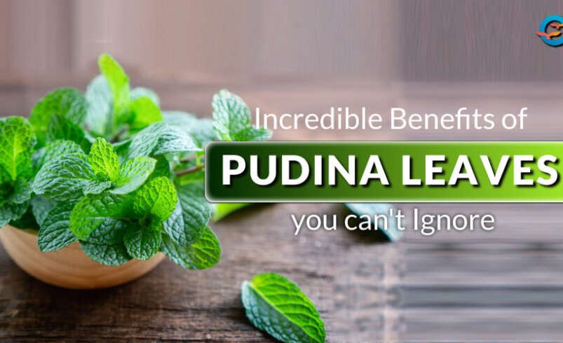 Health Benefits of Mint Leaves