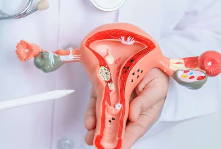 Premature Ovarian Failure Treatment in Dubai: Individualized Support for Reproductive Health