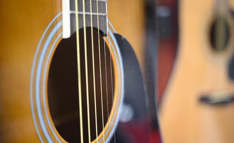 Discover the Unique Sound and Beauty of 12-String Harp Guitars